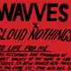 Illustration for article titled Wavves and Cloud Nothings bask in common ground on their ripping joint LP